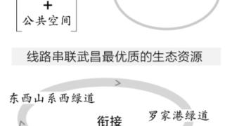 武昌慢行通道年内向公众开放