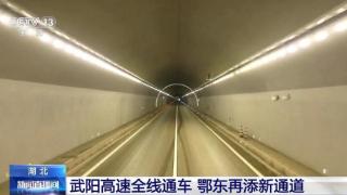 武阳高速黄石段投入使用，武汉至阳新高速公路全线通车