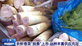 你知道“报春菜”吗？快来品尝“春天的味道”